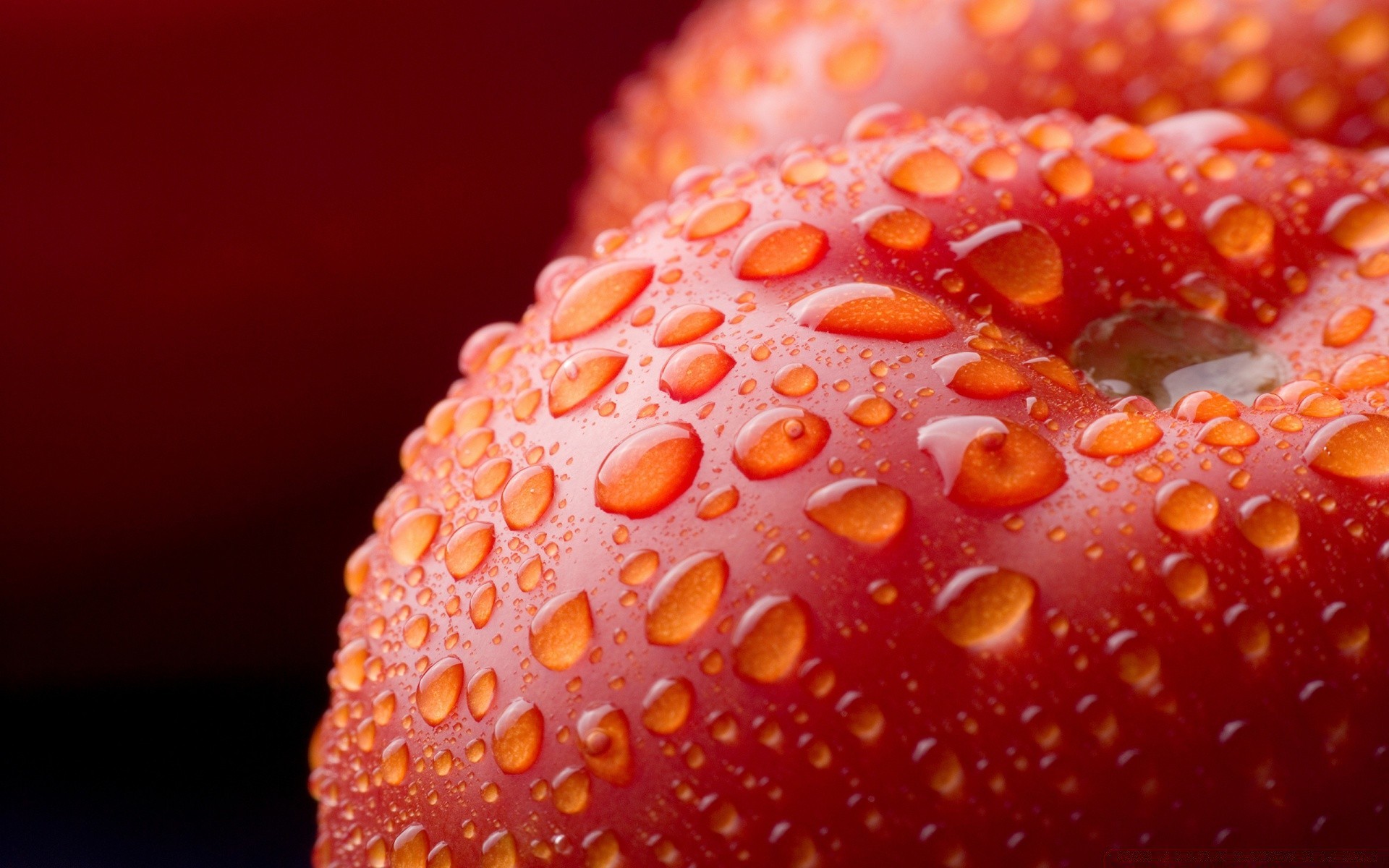 macro alimentaire fruits fraise rafraîchissement confiserie doux délicieux couleur en bonne santé délicieux nature baie gros plan fraîcheur bureau santé juteuse alimentaire régime alimentaire