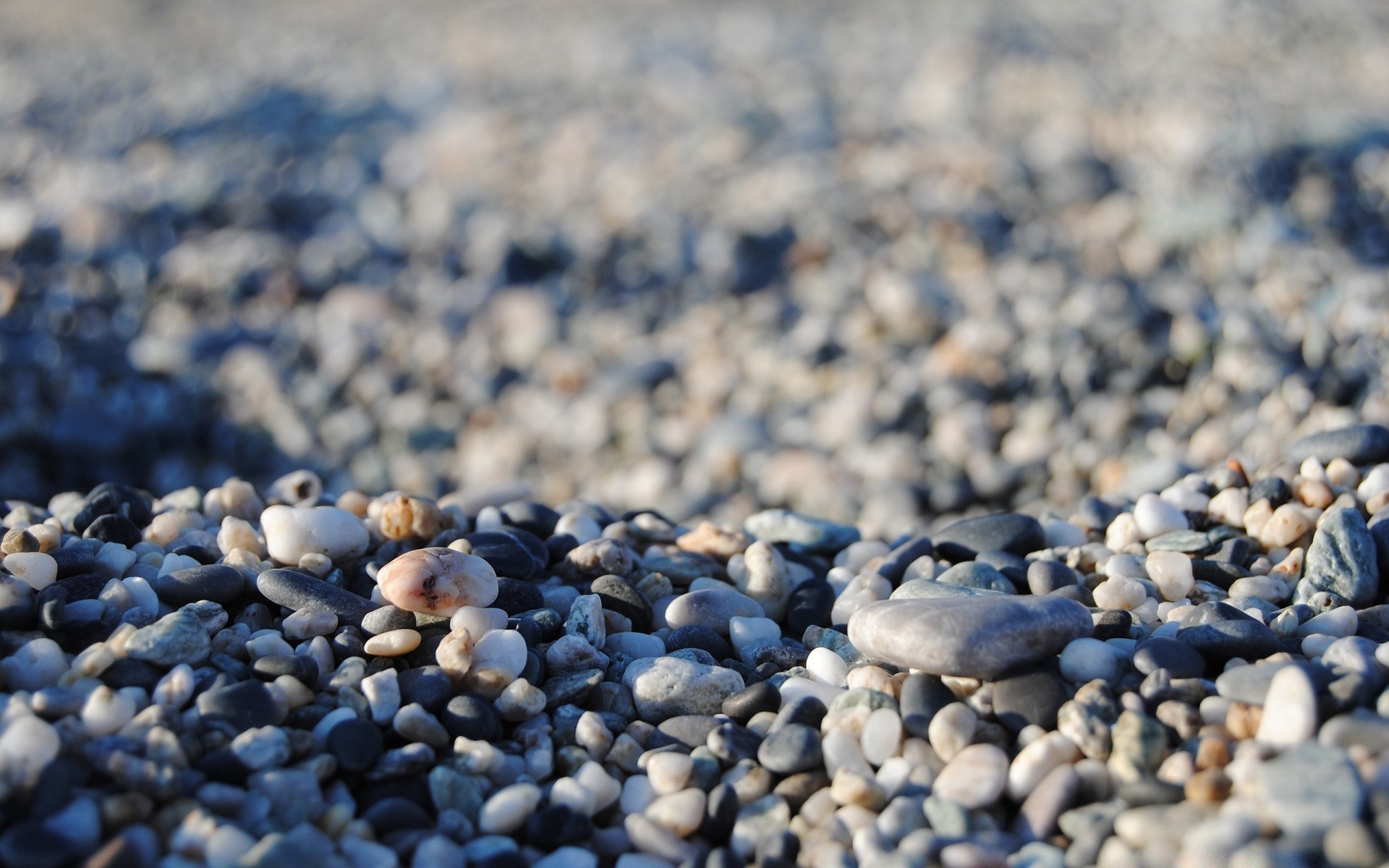 macro gravier rock plage nature texture pierre zen sable mer bureau lisse pavé mer modèle résumé partie à l extérieur gros plan