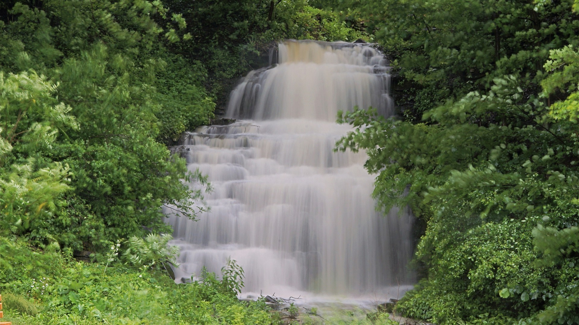 cascate acqua cascata natura all aperto fiume viaggio legno foglia paesaggio albero estate parco flusso autunno cascata