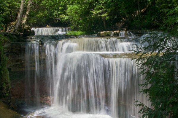 Wütender Wasserfall im dichten Wald