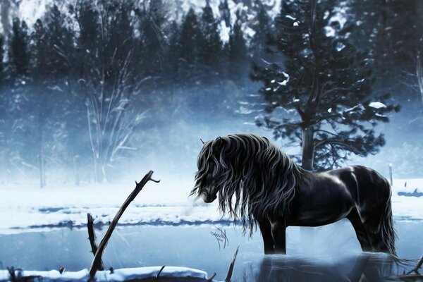 Fée licorne dans la forêt d hiver