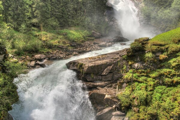 Natur Fluss Wasserfall Wald Bäume