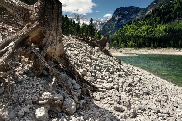 Das Jahr des Baches und des Steins der Natur Tapete