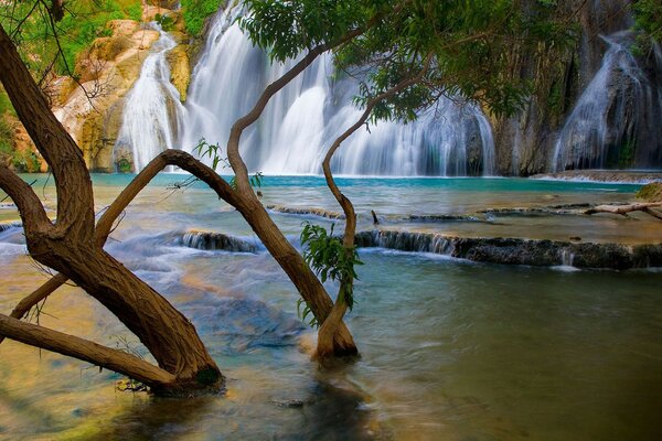 Cascata con lago e alberi allagati