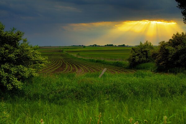 Landwirtschaft Sonnenuntergang Landschaft dunkler Himmel