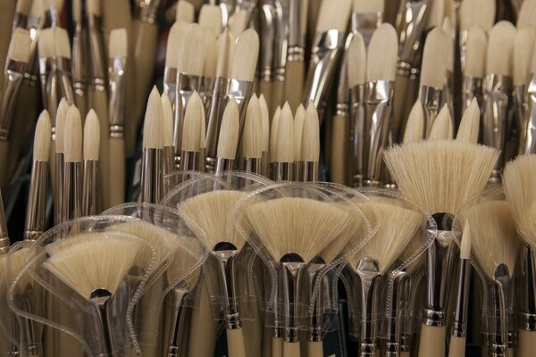 Photo of a set of brushes enlarged