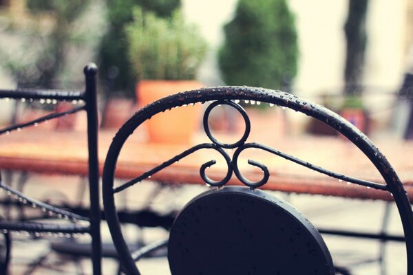 On the summer veranda after the rain