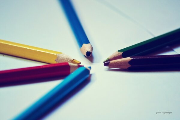 Six pencils on a white sheet