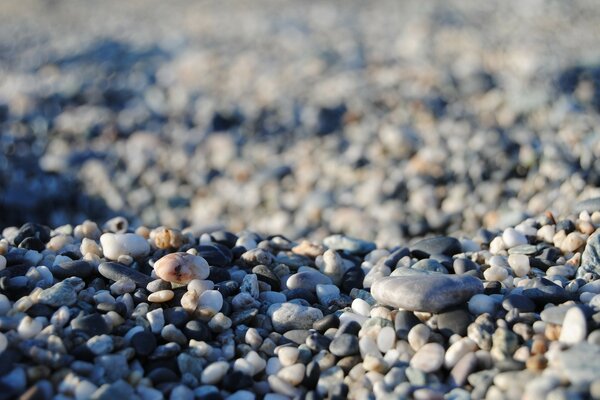 Macro fotografía de grava en la playa