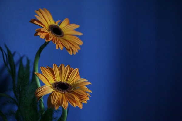 Fleur lumineuse à l intérieur