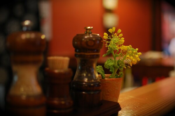 A lonely flower in a vase