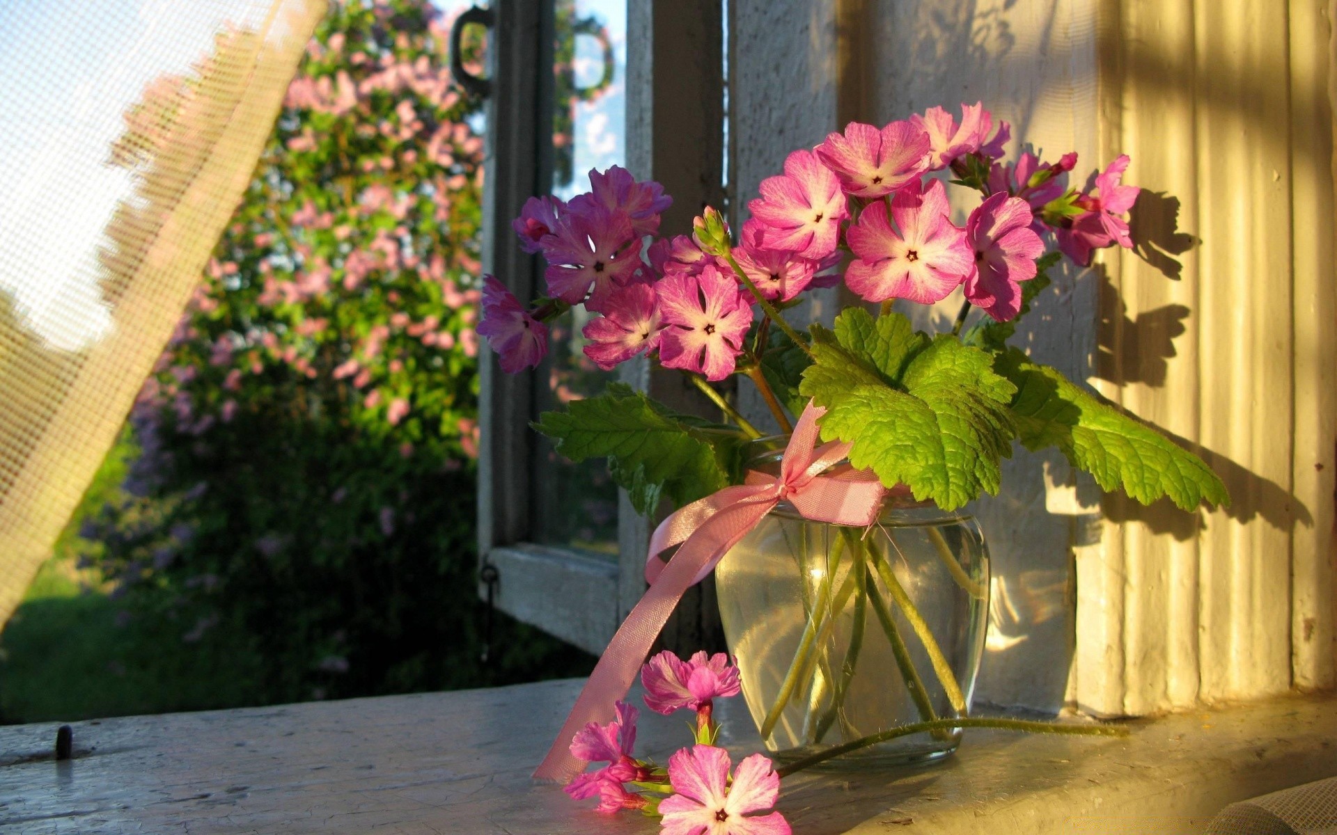 flowers flower garden summer nature flora leaf outdoors rose blooming color bouquet decoration fair weather floral petal