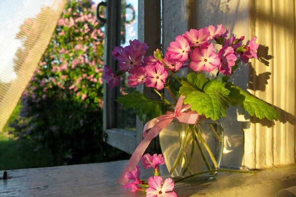 Hermosa flor en el alféizar de la ventana. Jardín de verano