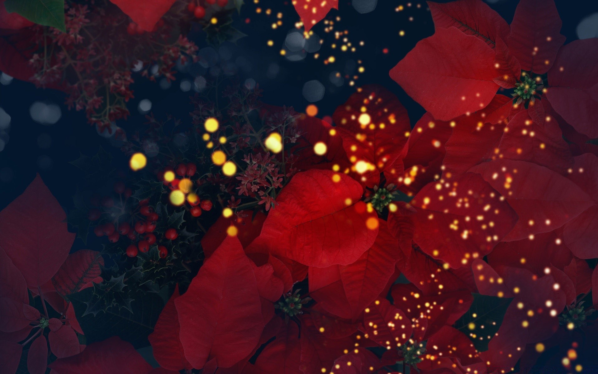 flowers christmas celebration winter decoration blur