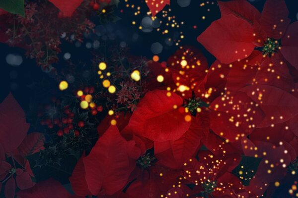 Lights red yellow flowers