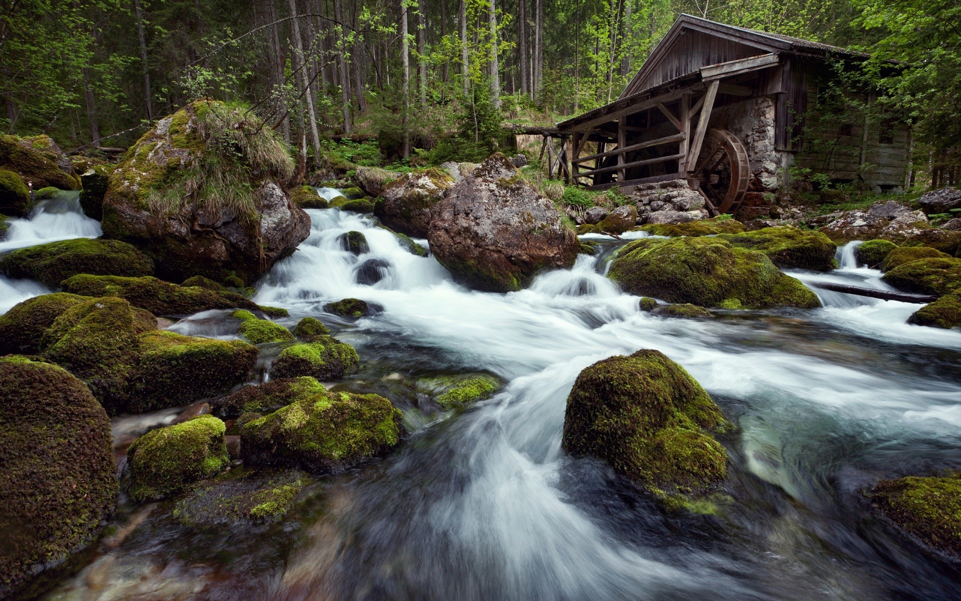 ліс водоспад потік води річка крик рок деревини каскад природа мох осінь потік пейзаж лист руху дикий - рапідс гори камінь