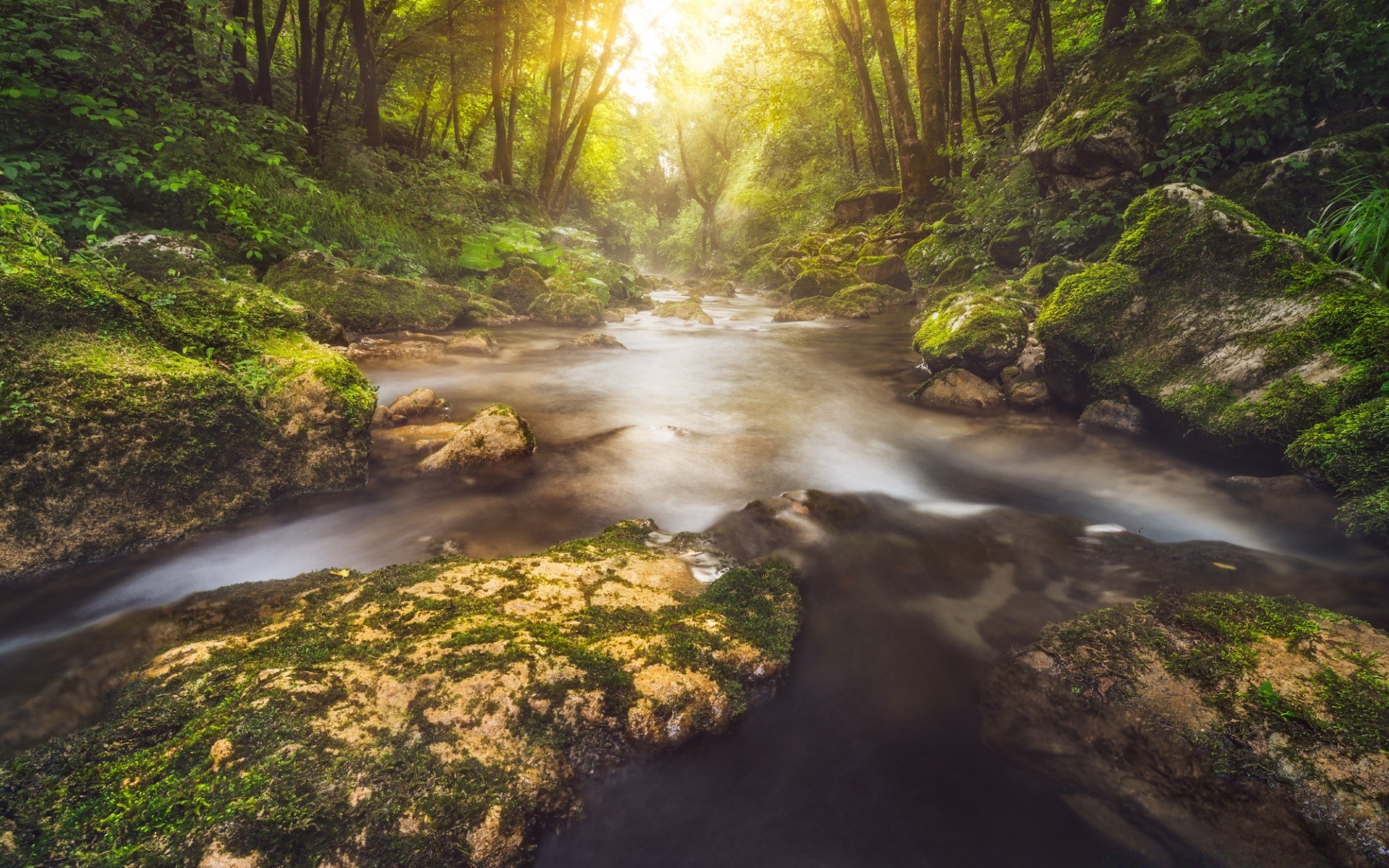 forest landscape water wood nature river travel waterfall tree leaf environment fall park stream outdoors moss scenic wild rock creek