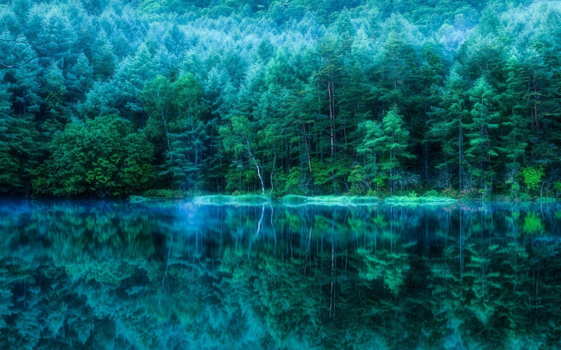 forest water nature desktop landscape travel sea turquoise summer