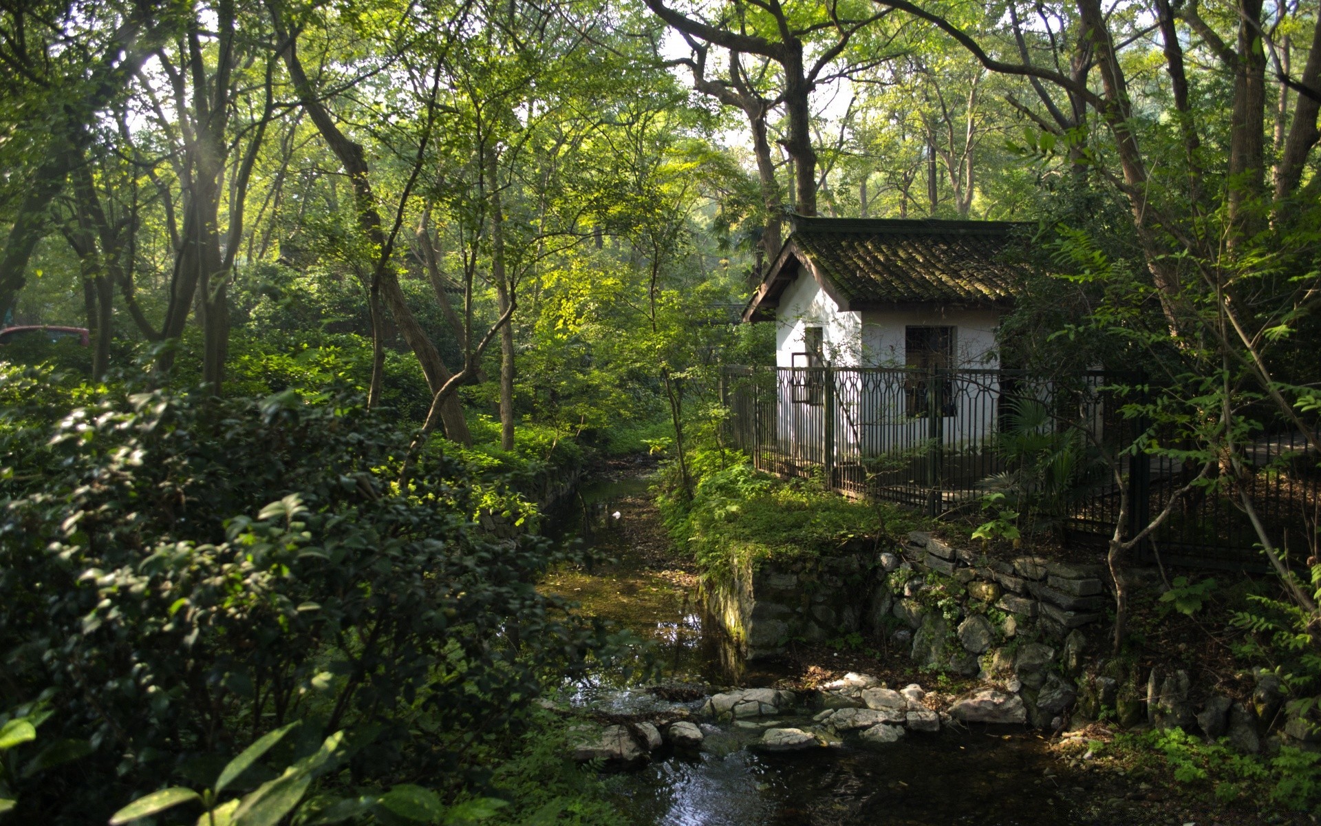 森林 木头 树 自然 房子 叶子 花园 夏天 室外 景观 木 家庭 旅行