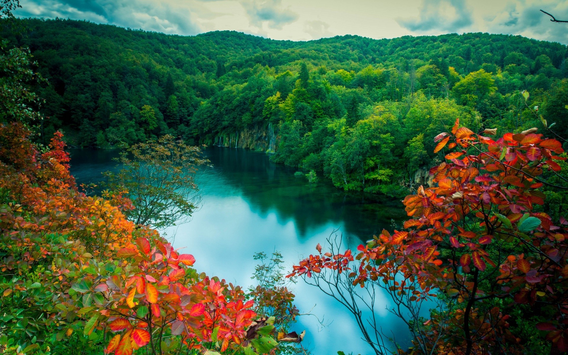 forest fall tree leaf nature landscape water wood outdoors scenic travel season river lake