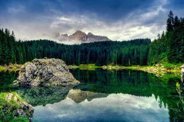 Hermoso lago rodeado de bosque