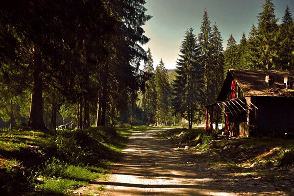 Wooden house by the road in the forest