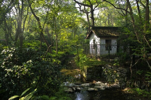 Uma pequena casa no meio da floresta