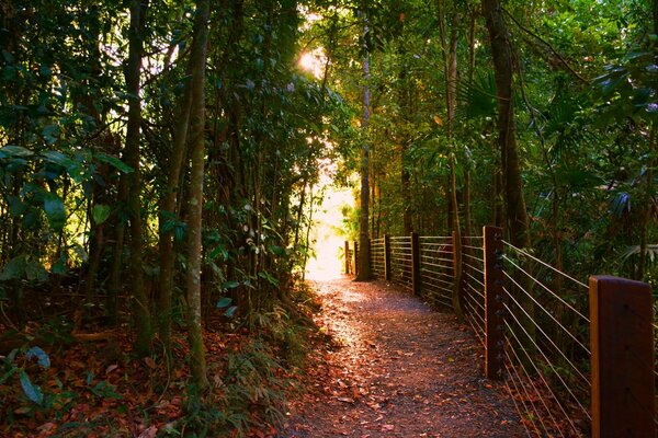 Autumn road lungo la recinzione