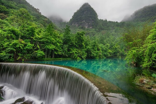 Paisaje montaña bosque y cascada