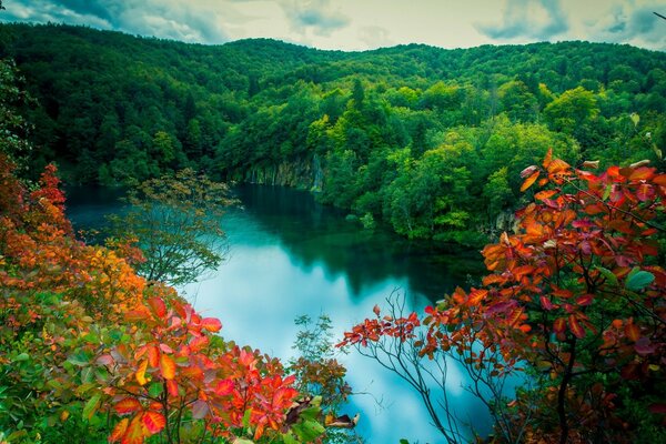 Autumn nature with yellow foliage