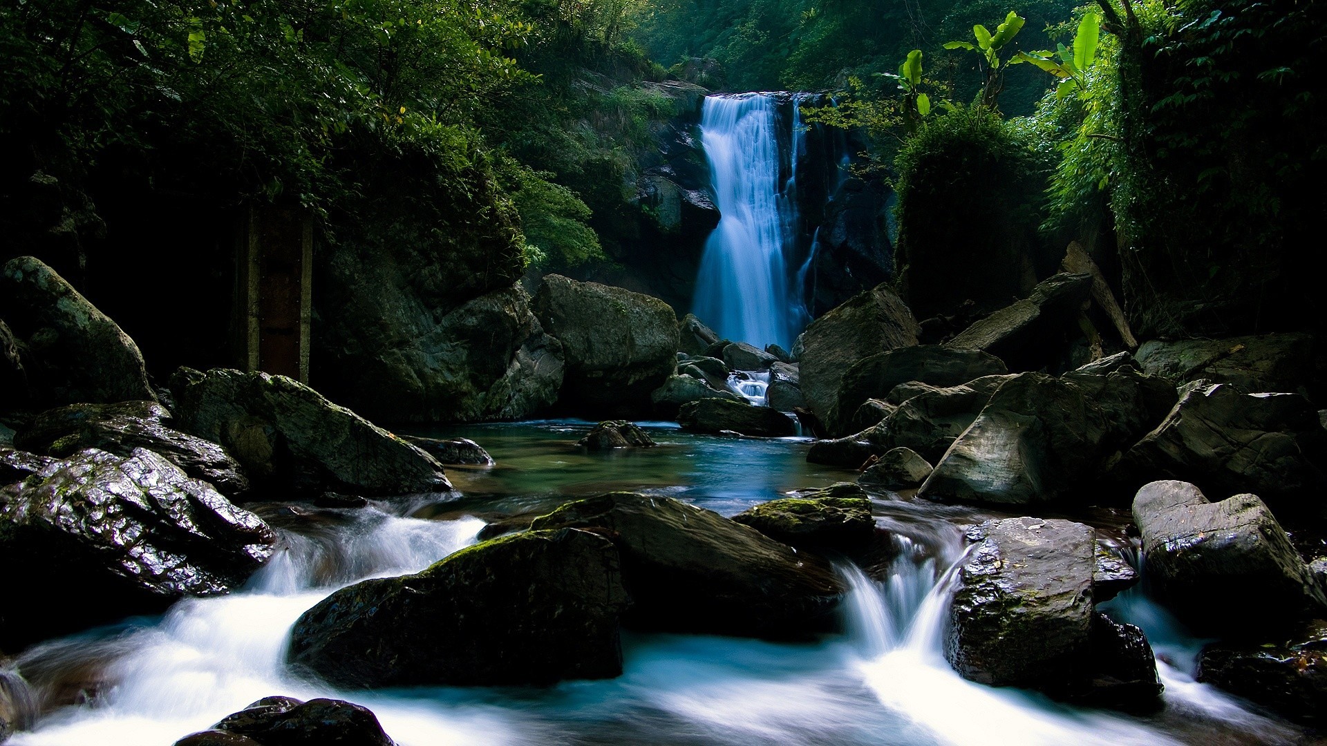 foresta cascata acqua fiume flusso cascata roccia movimento creek legno natura viaggi montagna paesaggio autunno muschio all aperto flusso splash pulizia