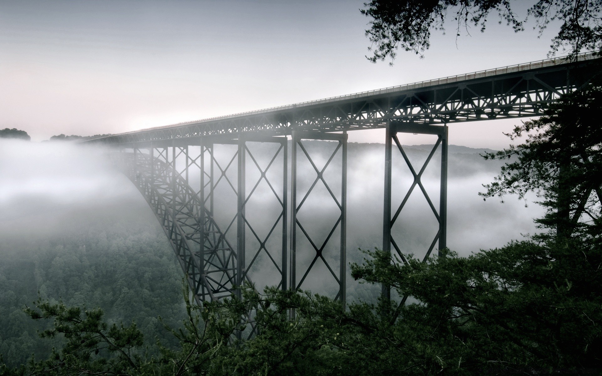 forest water bridge sky nature landscape travel river wood lake tree outdoors fog dawn