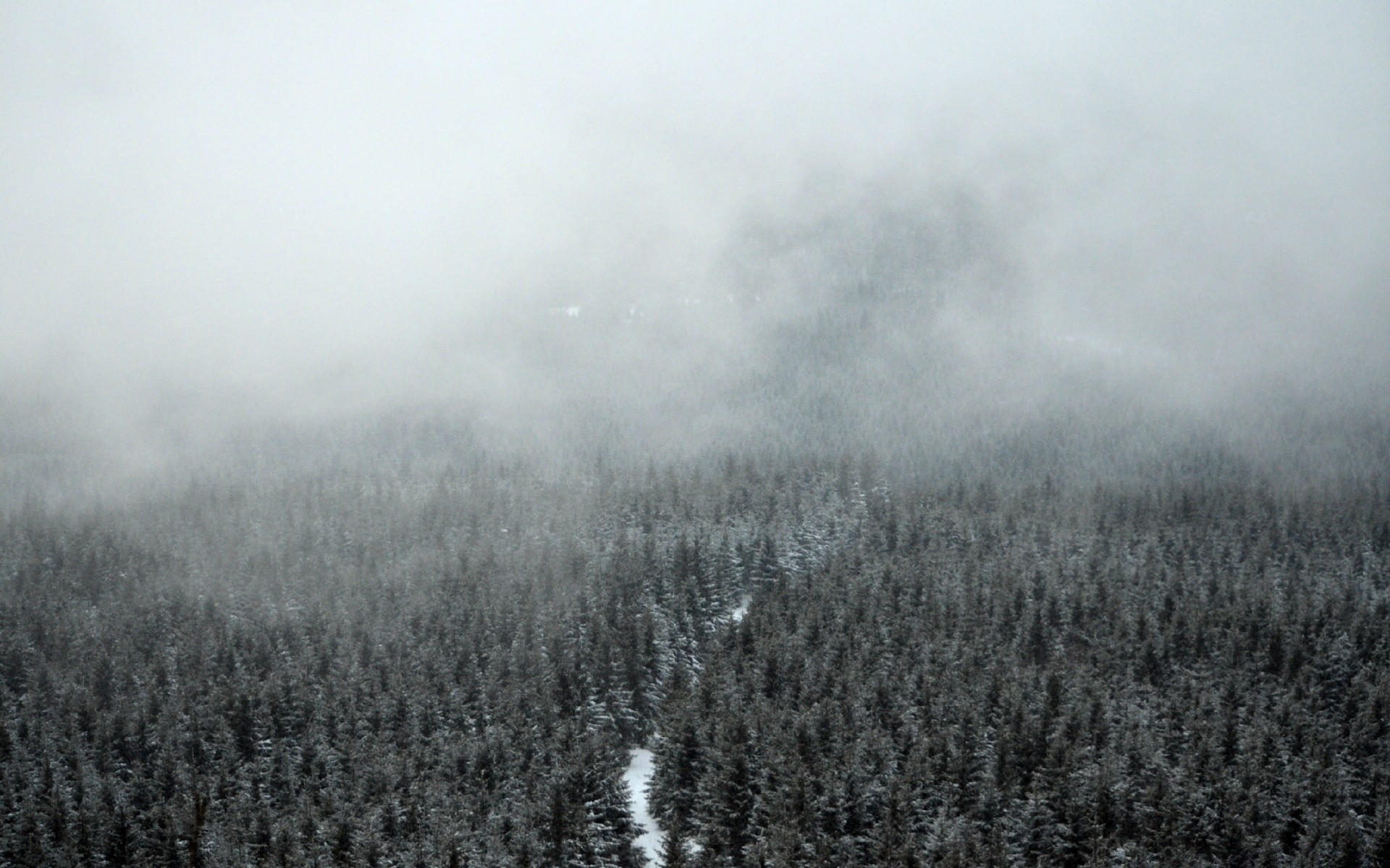 forest fog landscape mist tree nature dawn winter outdoors weather wood snow