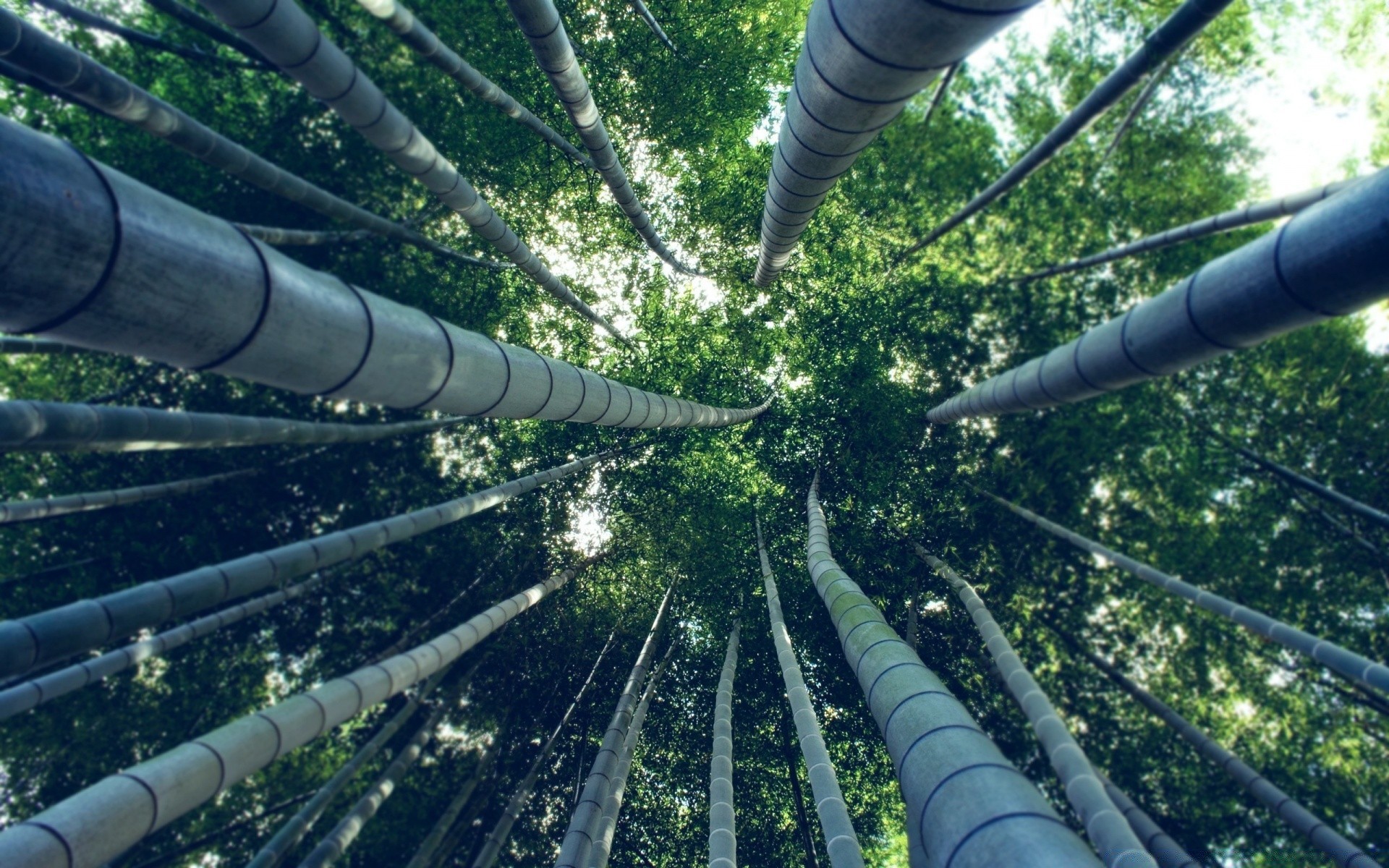 madeira aço madeira poder ambiente indústria energia ferro natureza construção ao ar livre tubulação cortiça poluição expressão