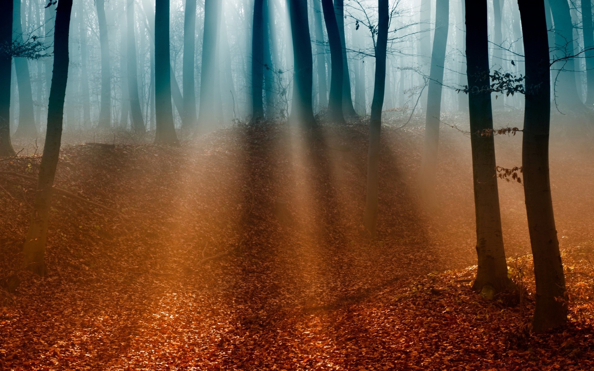 bosque agua naturaleza madera viajes al aire libre paisaje amanecer otoño mojado buen tiempo luz desenfoque