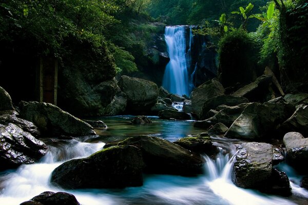 Wasserfluss an einem Wasserfall im Wald