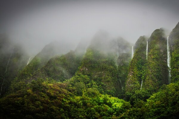 Brumoso paisaje matutino de montañas