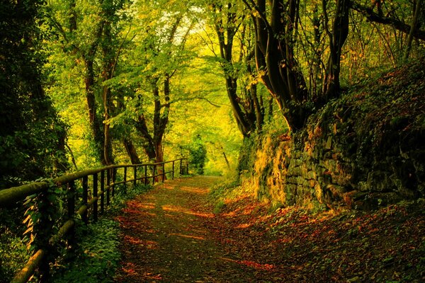 The road through the greenery is red