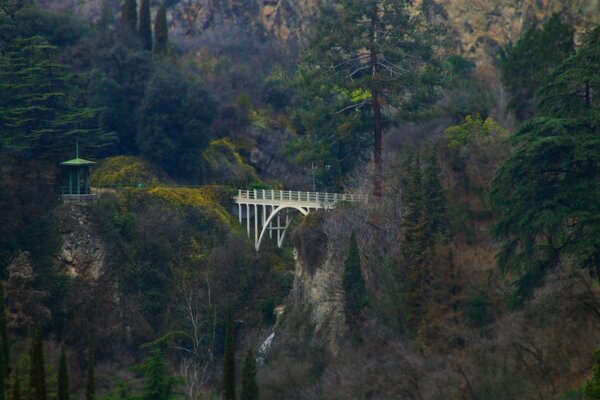 Pont dans les rochers. Paysage forestier d automne