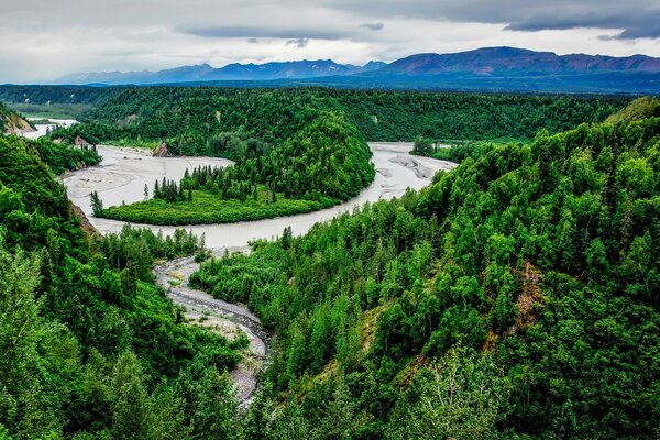 Ein Fluss inmitten des Waldes. Landschaft, Draufsicht (Bird s-eye view)