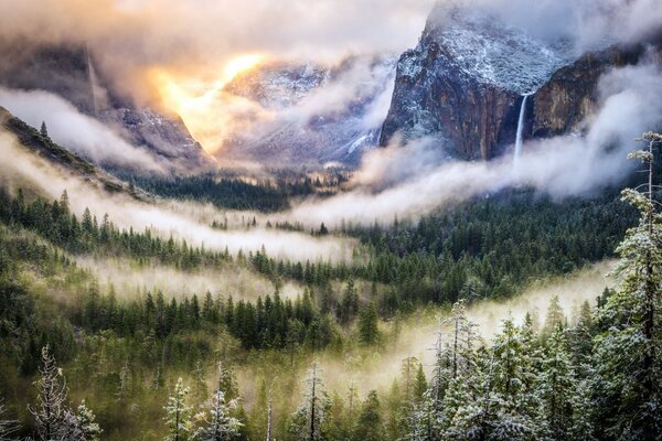 Niebla sobre el bosque de un enorme barranco