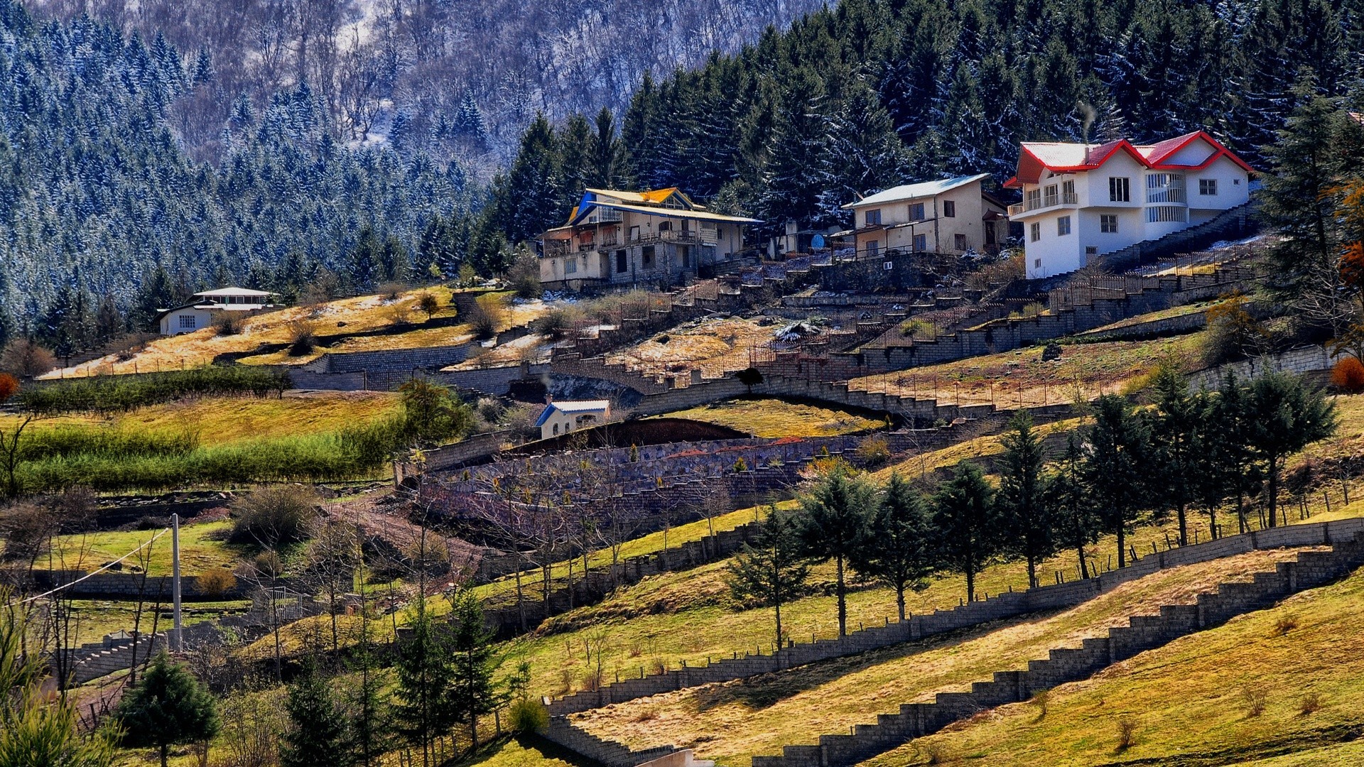 森林 房子 旅游 景观 户外 树 建筑 自然 木材 山 风景 房子 天空 日光 山