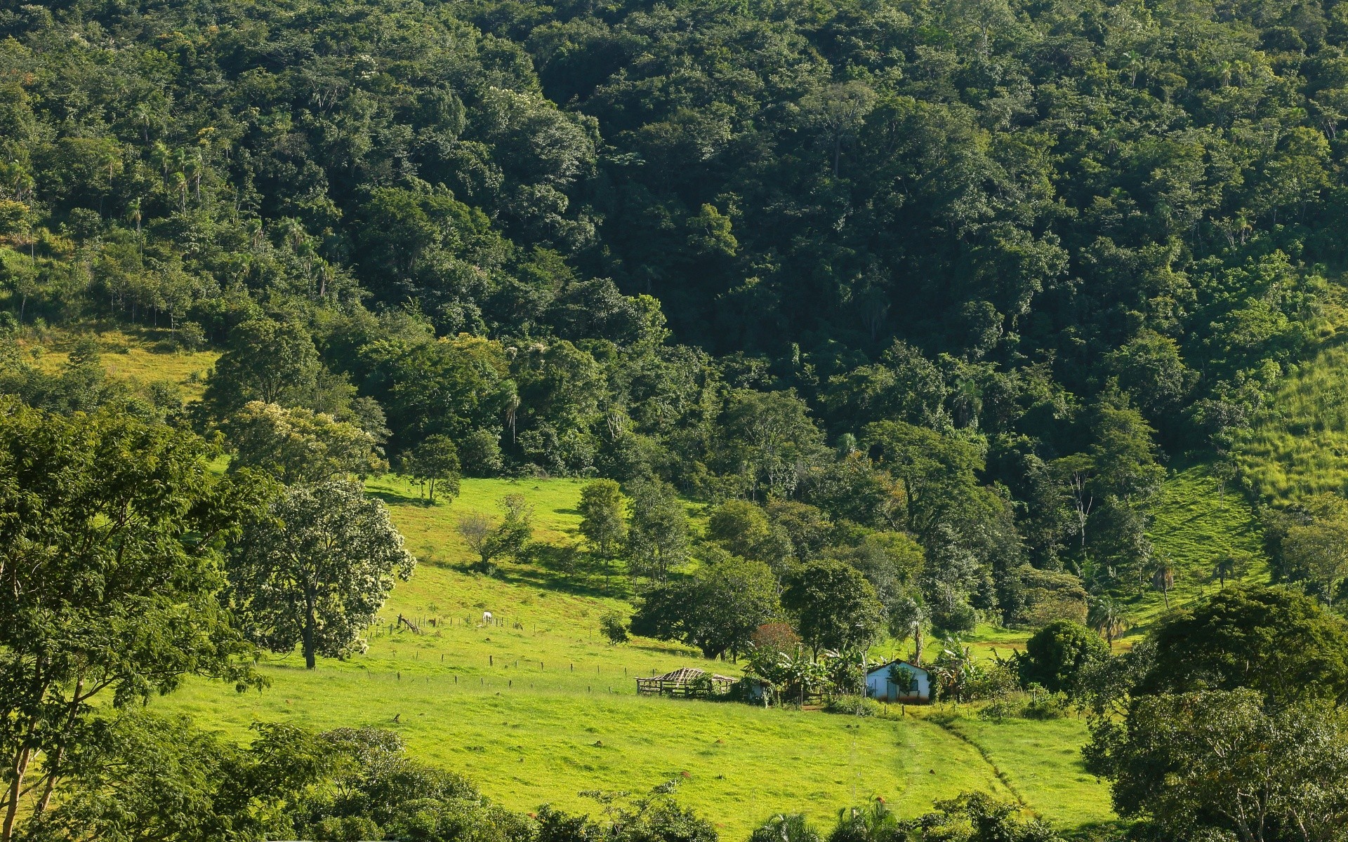 wald landschaft baum natur hügel holz landwirtschaft im freien feld flora berge heuhaufen landschaftlich bebautes land umwelt himmel panorama bauernhof tageslicht reisen