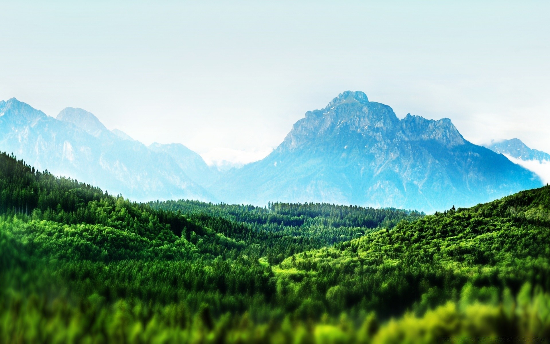 foresta montagna paesaggio natura viaggi all aperto valle cielo legno collina scenico estate