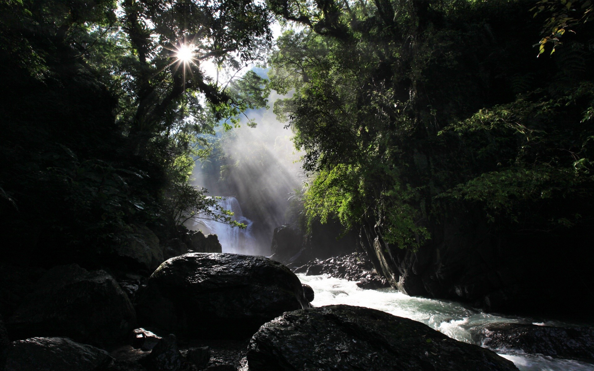 foresta acqua cascata fiume natura paesaggio flusso roccia di legno di viaggio all aperto albero di movimento