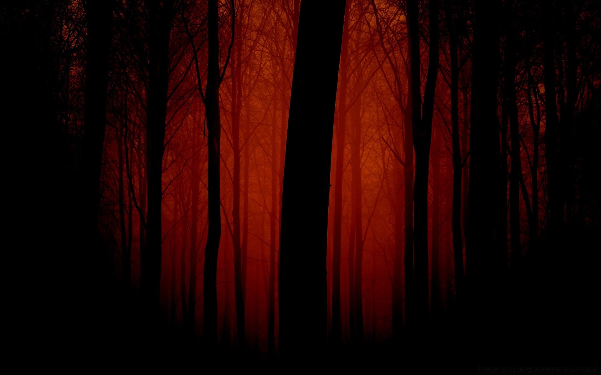 forest art texture dark retro abstract design wallpaper