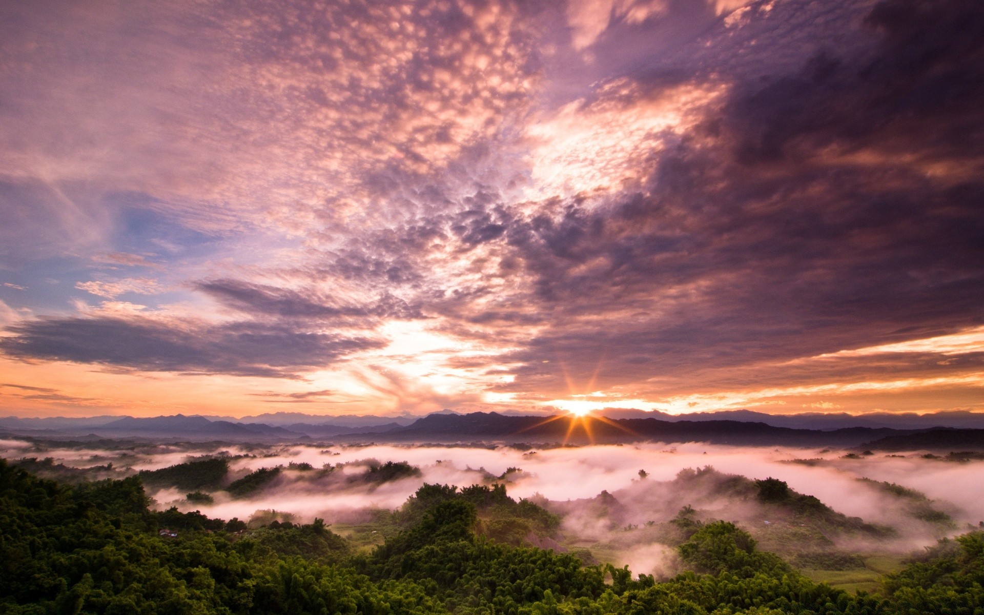 森林 日落 景观 太阳 天空 自然 黎明 夏天 光 好天气 水 晚上 户外 黄昏 云 天气 海滩