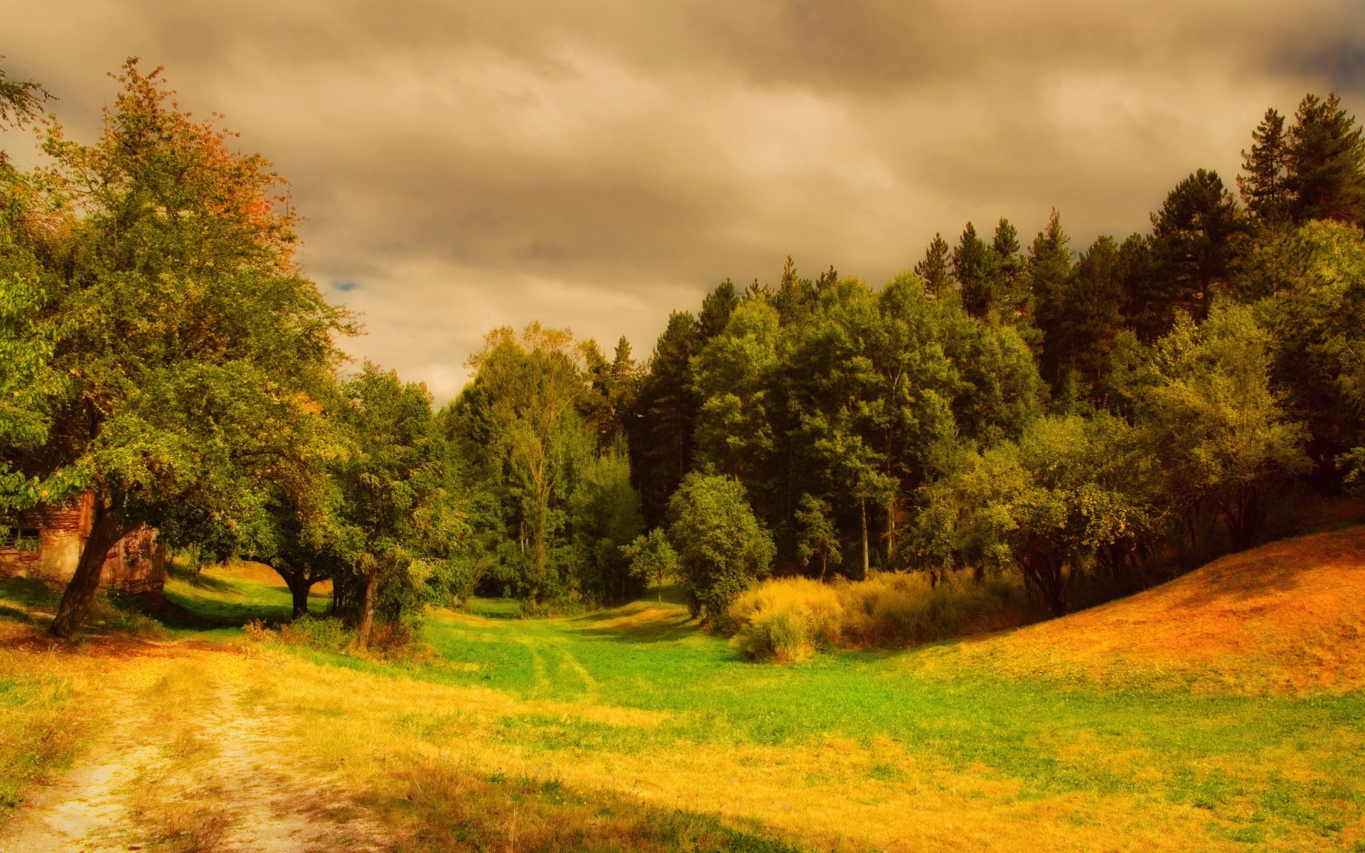 wald baum landschaft natur im freien gras holz dämmerung herbst landschaftlich himmel landschaft sommer gutes wetter park sonnenuntergang des ländlichen sonne medium blatt