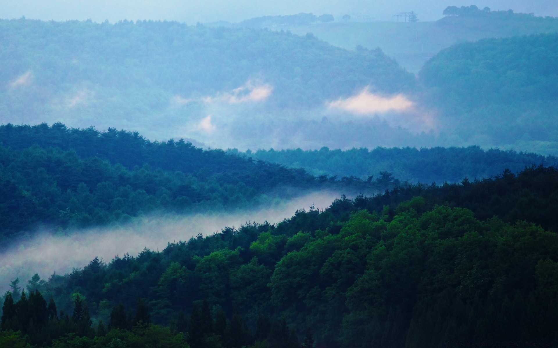 wald landschaft baum nebel natur himmel berge tageslicht reisen nebel im freien hügel regenwald sommer dämmerung landschaftlich wolke holz