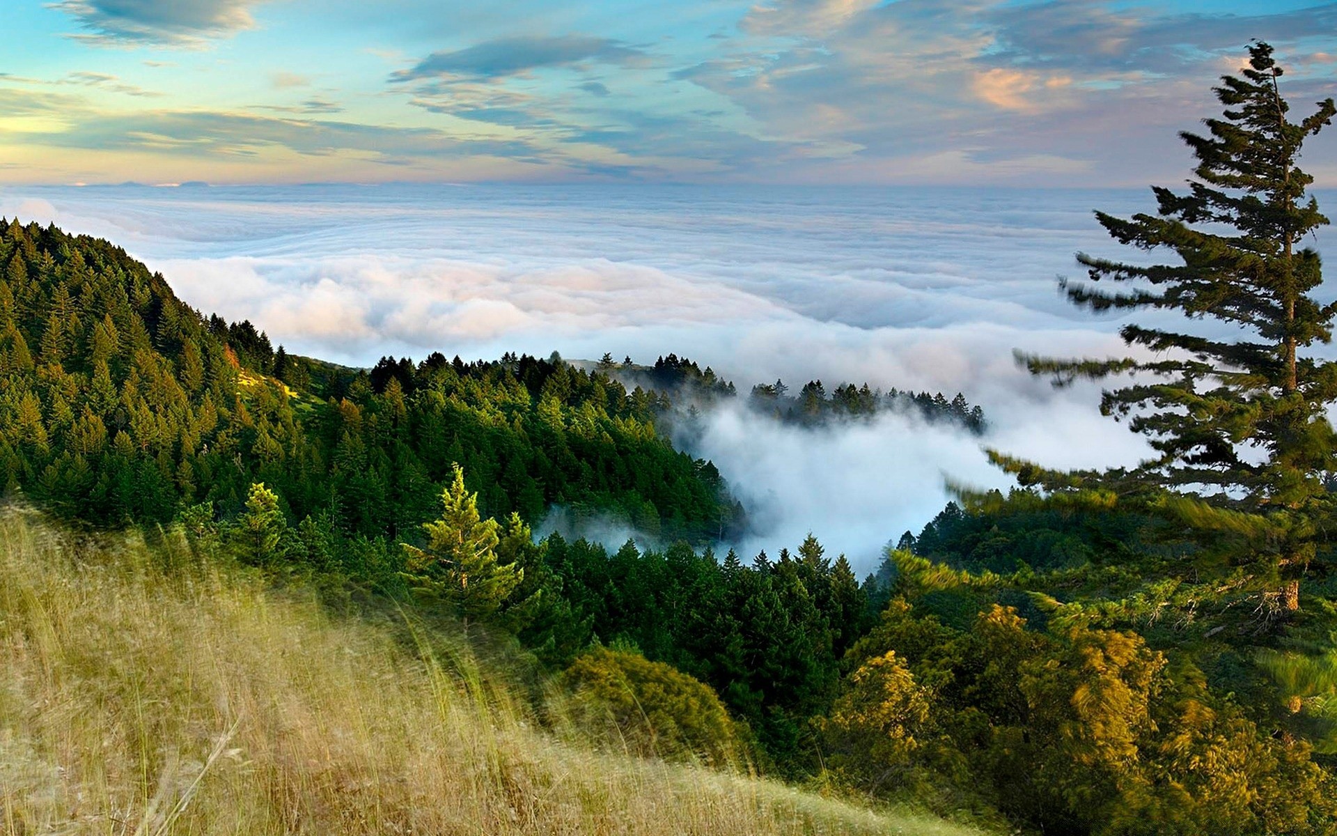 forêt paysage nature arbre ciel à l extérieur voyage automne scénique montagnes bois coucher de soleil aube herbe nuage lumière du jour été beau temps colline